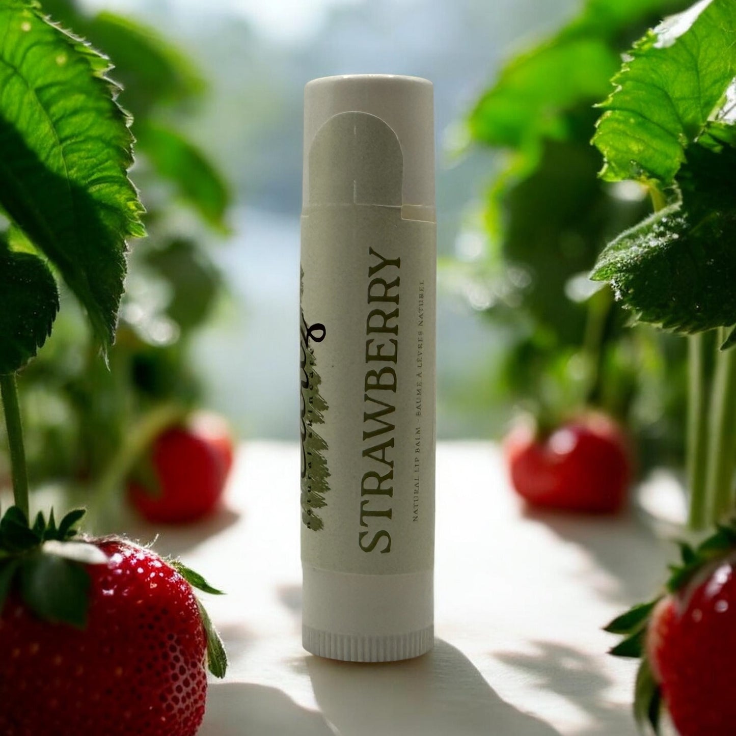 Lip Balm