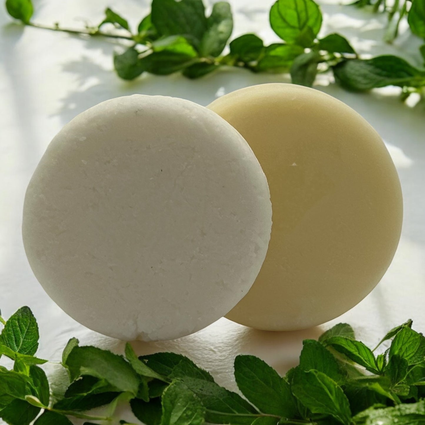 Shampoo Bar